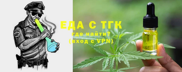 тгк Бородино