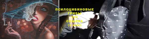 тгк Бородино