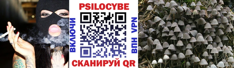 Псилоцибиновые грибы Psilocybe  закладка  Гаврилов Посад 